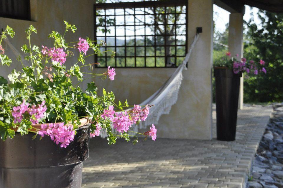 Cortiglione Premiata Osteria Dei Fiori Bed & Breakfast 部屋 写真