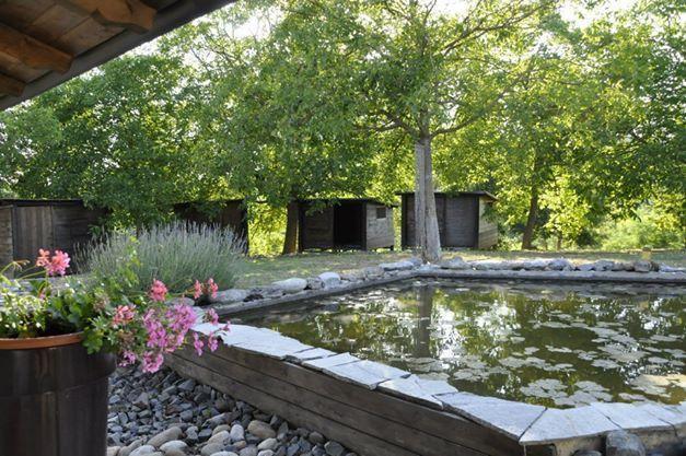 Cortiglione Premiata Osteria Dei Fiori Bed & Breakfast 部屋 写真