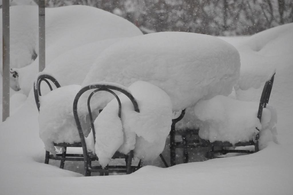 Cortiglione Premiata Osteria Dei Fiori Bed & Breakfast エクステリア 写真